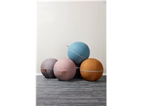 Een Zitbal Office Ballz Big uni 65cm koop je bij Meubels and More