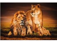 Een Wanddecoratie The Lion Family 148x98cm Glas koop je bij Meubels and More