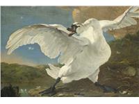 Een Wanddecoratie The Threatened Swan by Jan Asselijn 148x98cm Dibond wit koop je bij Meubels and More