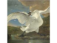 Een Wanddecoratie The Threatened Swan by Jan Asselijn 74x74cm Dibond wit koop je bij Meubels and More