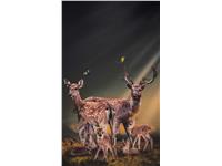 Een Wanddecoratie Thee Deer Family 70x118cm Dibond wit koop je bij Meubels and More