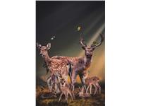 Een Wanddecoratie Thee Deer Family 98x148cm Dibond wit koop je bij Meubels and More