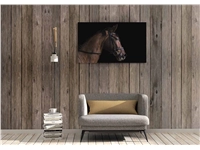 Een Wanddecoratie At the Farm 001 118x70cm Dibond wit koop je bij Meubels and More