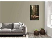 Een Wanddecoratie European Wildlife 003 70x118cm Hout met leren lussen koop je bij Meubels and More