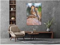 Een Wanddecoratie Wildlife 017 98x148cm Dibond wit koop je bij Meubels and More