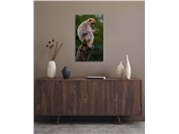 Een Wanddecoratie Wildlife 018 70x118cm Dibond wit koop je bij Meubels and More