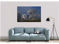 Een Wanddecoratie Winter Wonders 007 148x98cm Dibond wit koop je bij Meubels and More