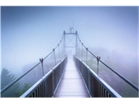 Een poster swinging bridge op plexiglas koop je bij Meubels and More