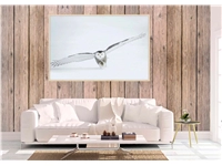 Een Wanddecoratie Bright Wings 008 148x98cm Forex met blanke lijst koop je bij Meubels and More