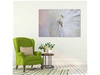 Een Wanddecoratie Bright Wings 031 148x98cm Dibond wit koop je bij Meubels and More