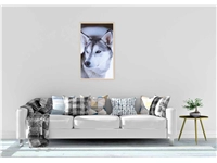 Een Wanddecoratie European Wildlife 012 70x118cm Forex met blanke lijst koop je bij Meubels and More