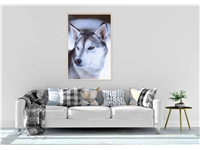 Een Wanddecoratie European Wildlife 012 98x148cm Forex met blanke lijst koop je bij Meubels and More