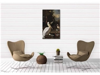 Een Wanddecoratie The floating feather by Melchior d Hondecoeter 70x118cm Dibond wit koop je bij Meubels and More