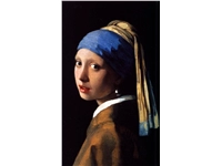 Een Wanddecoratie Girl with a Pearl Earring by Johannes Vermeer 70x118cm Dibond wit koop je bij Meubels and More