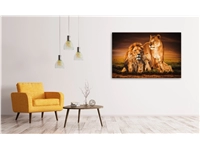 Een Wanddecoratie The Lion Family 148x98cm Glas koop je bij Meubels and More