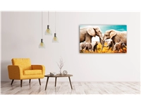 Een Wanddecoratie The Elephant Family 118x70cm Glas koop je bij Meubels and More