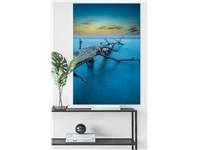 Een Wanddecoratie Art of Nature 041 98x148cm Dibond wit koop je bij Meubels and More