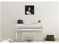 Een Wanddecoratie Music 002 74x74cm Forex met zwarte lijst koop je bij Meubels and More