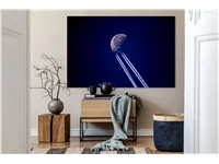 Een Wanddecoratie The Mooncrosser 148x98cm Dibond wit koop je bij Meubels and More