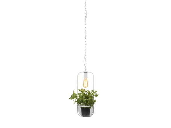 Een Hanglamp planthouder ijzer glas Florence h.52x19cm wit koop je bij Meubels and More