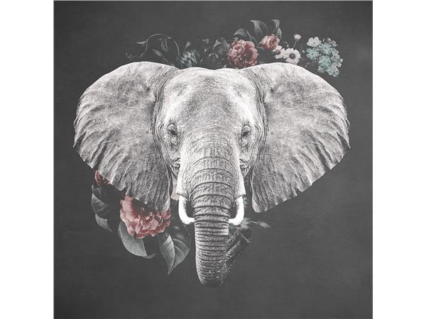 Een Wanddecoratie Elephant with Flowers 74x74cm RVS koop je bij Meubels and More