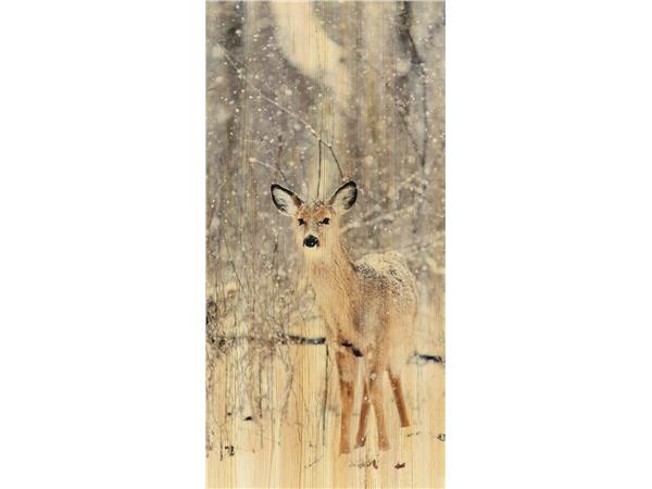 Een Wanddecoratie European Wildlife 007 48x98cm Hout met leren lussen koop je bij Meubels and More