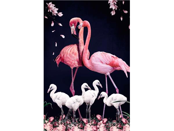 Een Wanddecoratie The Flamingo Family 98x148cm Dibond wit koop je bij Meubels and More