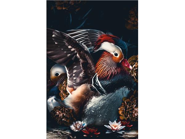 Een Wanddecoratie The Mandarin Ducks 98x148cm Dibond wit koop je bij Meubels and More