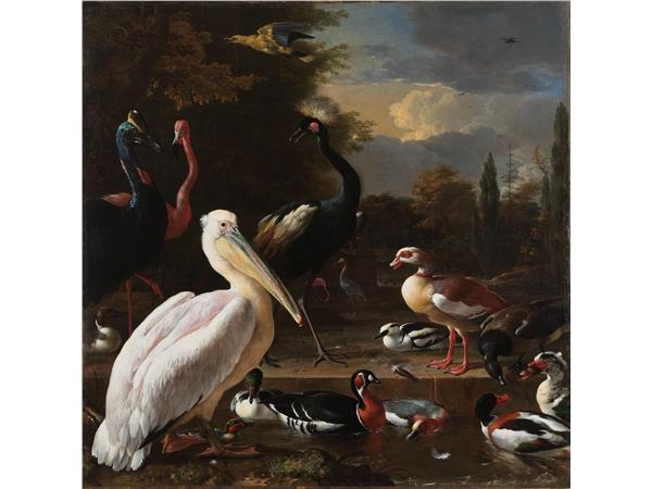 Een Wanddecoratie The floating feather by Melchior d Hondecoeter 74x74cm Dibond wit koop je bij Meubels and More