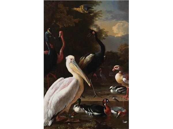 Een Wanddecoratie The floating feather by Melchior d Hondecoeter 98x148cm Dibond wit koop je bij Meubels and More