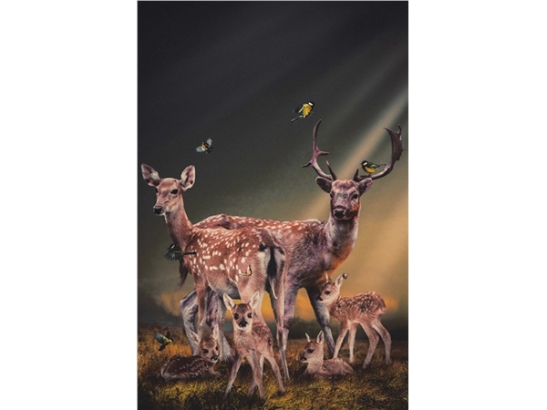 Een Wanddecoratie Thee Deer Family 98x148cm Dibond wit koop je bij Meubels and More