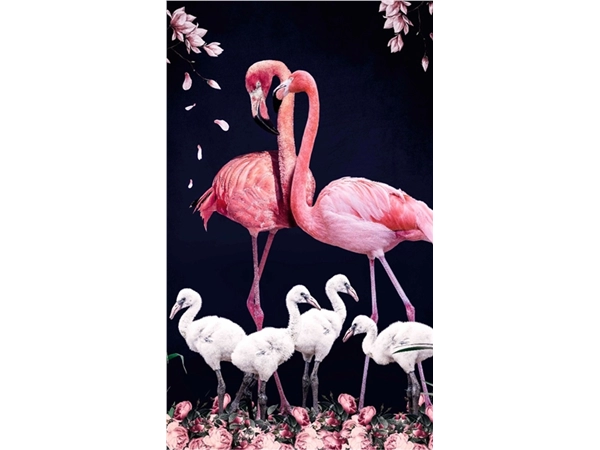 Een Wanddecoratie The Flamingo Family 70x118cm Dibond wit koop je bij Meubels and More