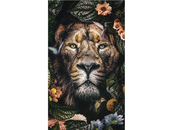 Een Wanddecoratie The Lion 70x118cm RVS koop je bij Meubels and More