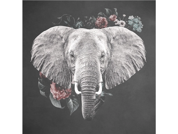 Een Wanddecoratie Elephant with Flowers 74x74cm RVS koop je bij Meubels and More