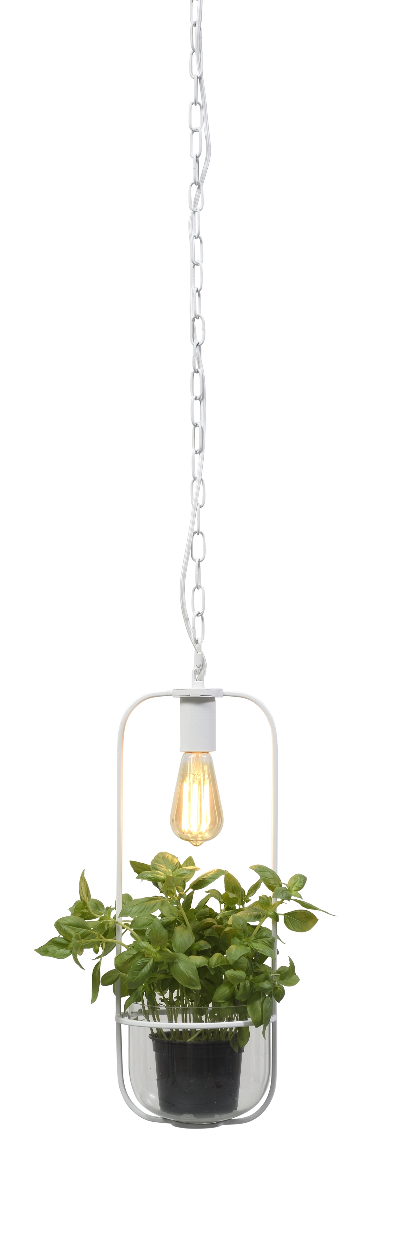 Een Hanglamp planthouder ijzer glas Florence h.52x19cm wit koop je bij Meubels and More