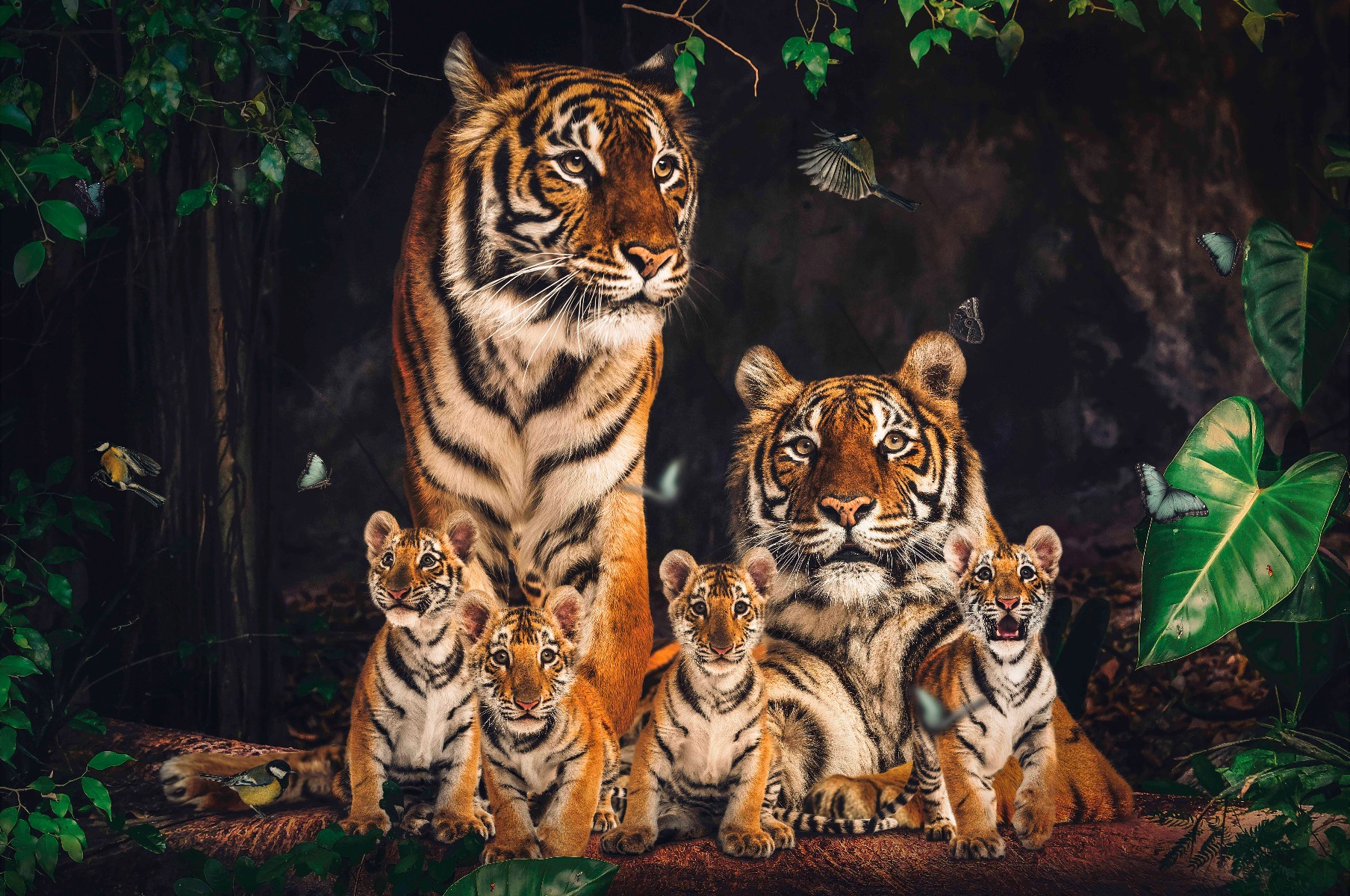 Een Wanddecoratie The Tiger Family 148x98cm Glas koop je bij Meubels and More