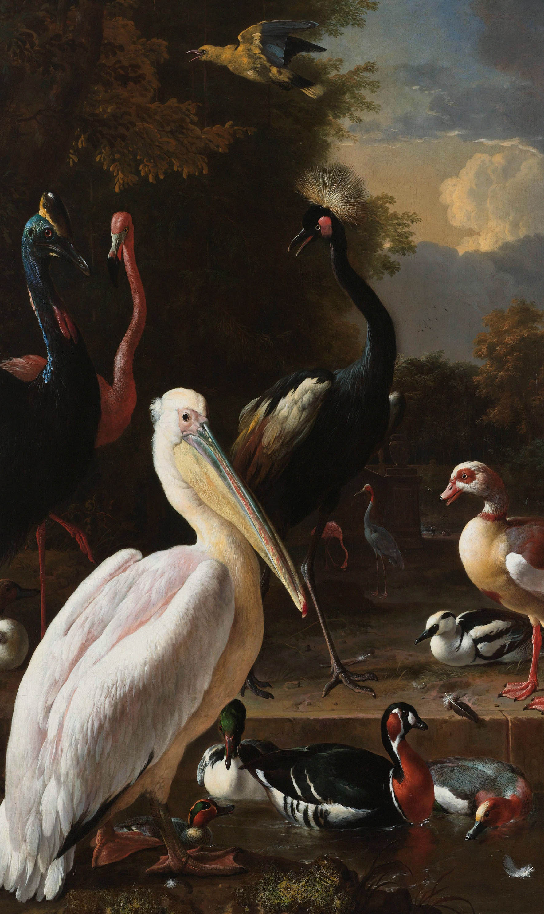 Een Wanddecoratie The floating feather by Melchior d Hondecoeter 70x118cm Dibond wit koop je bij Meubels and More