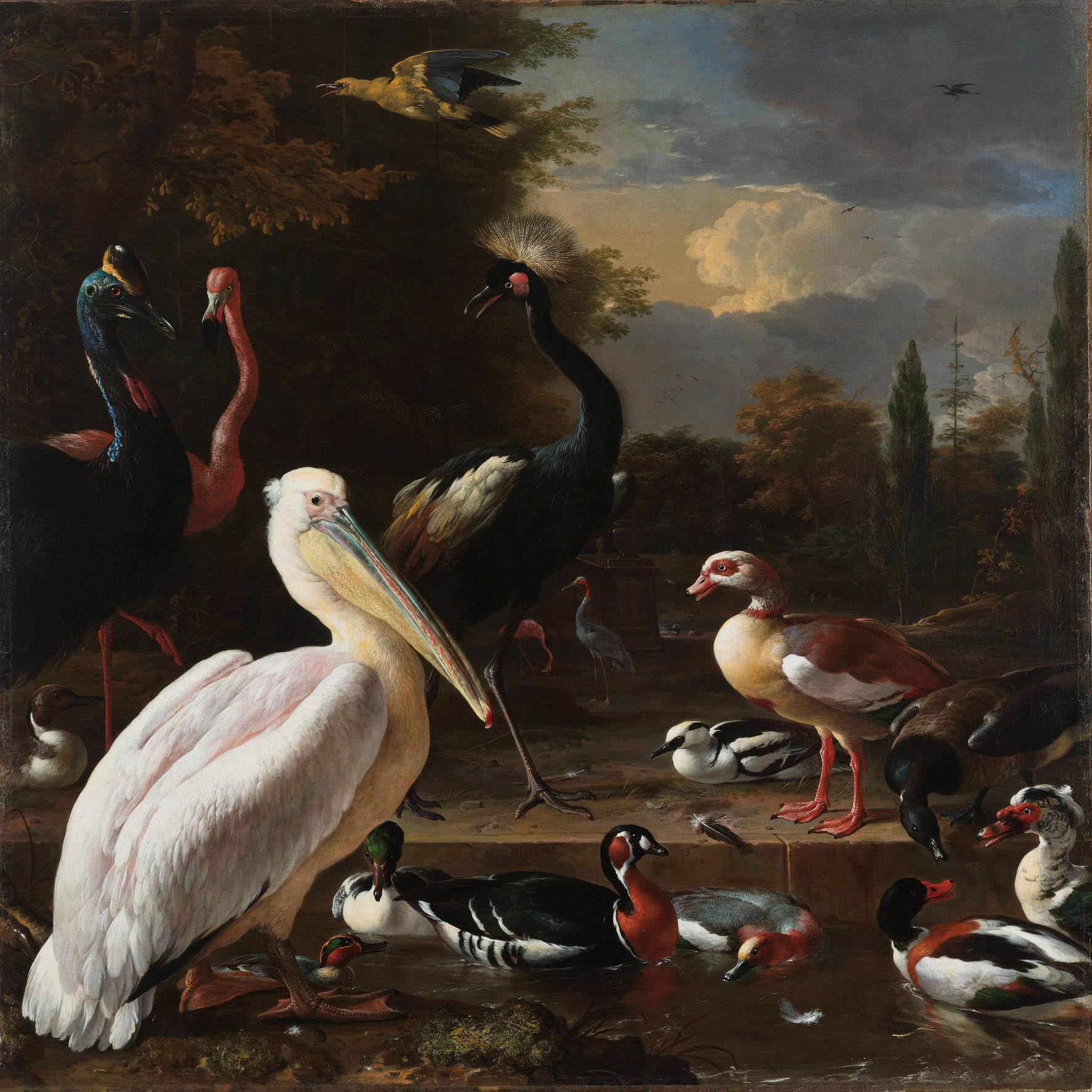 Een Wanddecoratie The floating feather by Melchior d Hondecoeter 74x74cm Dibond wit koop je bij Meubels and More