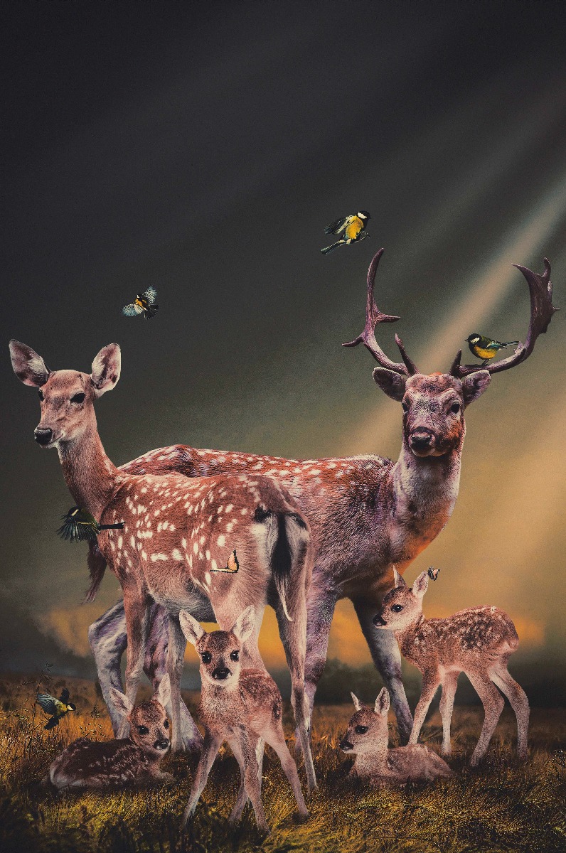 Een Wanddecoratie Thee Deer Family 98x148cm Dibond wit koop je bij Meubels and More