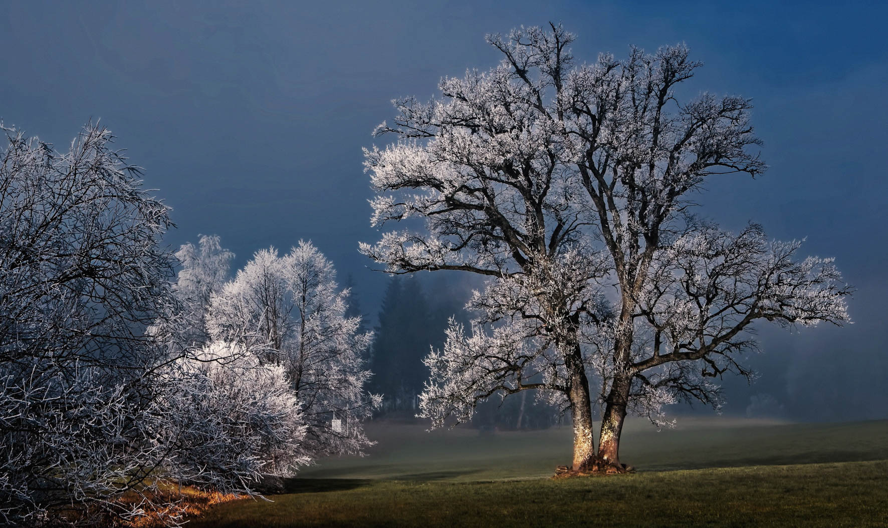 Een Wanddecoratie Winter Wonders 007 118x70cm Dibond wit koop je bij Meubels and More