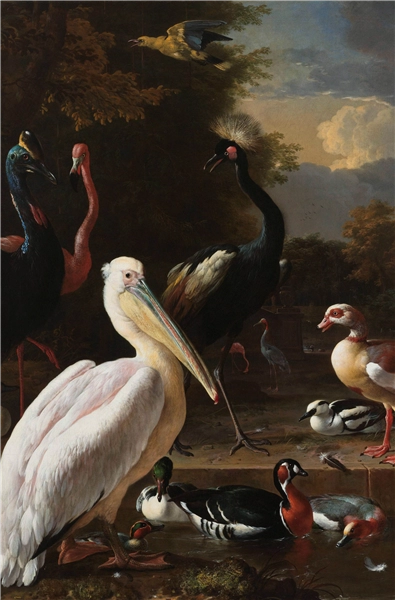 Een Wanddecoratie The floating feather by Melchior d Hondecoeter 98x148cm Dibond wit koop je bij Meubels and More