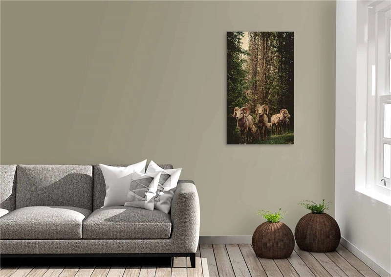 Een Wanddecoratie European Wildlife 003 70x118cm Hout met leren lussen koop je bij Meubels and More