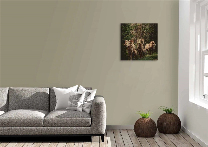 Een Wanddecoratie European Wildlife 003 74x74cm Hout met leren lussen koop je bij Meubels and More