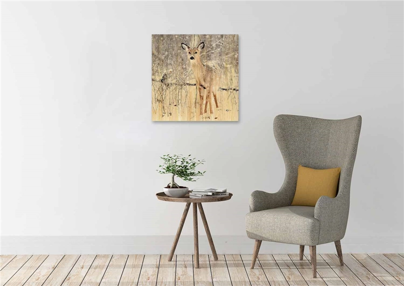 Een Wanddecoratie European Wildlife 007 74x74cm Hout met leren lussen koop je bij Meubels and More