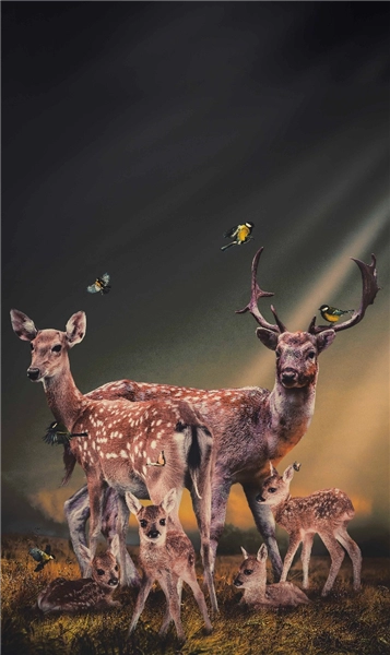 Een Wanddecoratie Thee Deer Family 70x118cm Dibond wit koop je bij Meubels and More