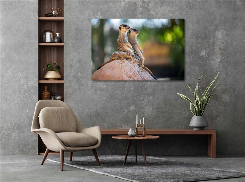 Een Wanddecoratie Wildlife 017 148x98cm Dibond wit koop je bij Meubels and More