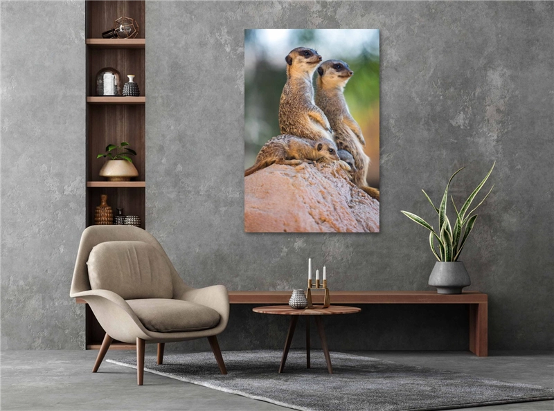 Een Wanddecoratie Wildlife 017 98x148cm Dibond wit koop je bij Meubels and More