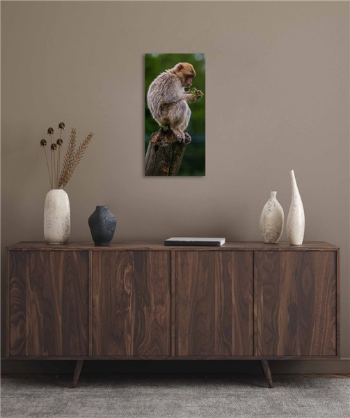 Een Wanddecoratie Wildlife 018 48x98cm Dibond wit koop je bij Meubels and More