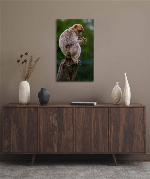 Een Wanddecoratie Wildlife 018 70x118cm Dibond wit koop je bij Meubels and More