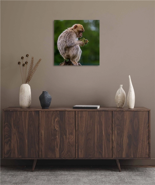 Een Wanddecoratie Wildlife 018 74x74cm Dibond wit koop je bij Meubels and More